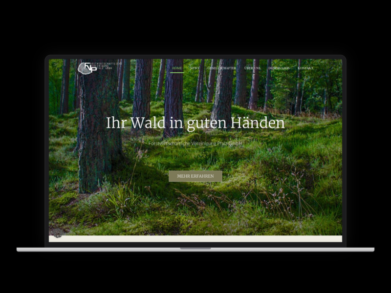 FV Pfalz – Webdesign-Referenz von webstudiopfalz